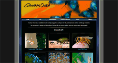 Desktop Screenshot of grahamowengallery.com