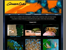 Tablet Screenshot of grahamowengallery.com